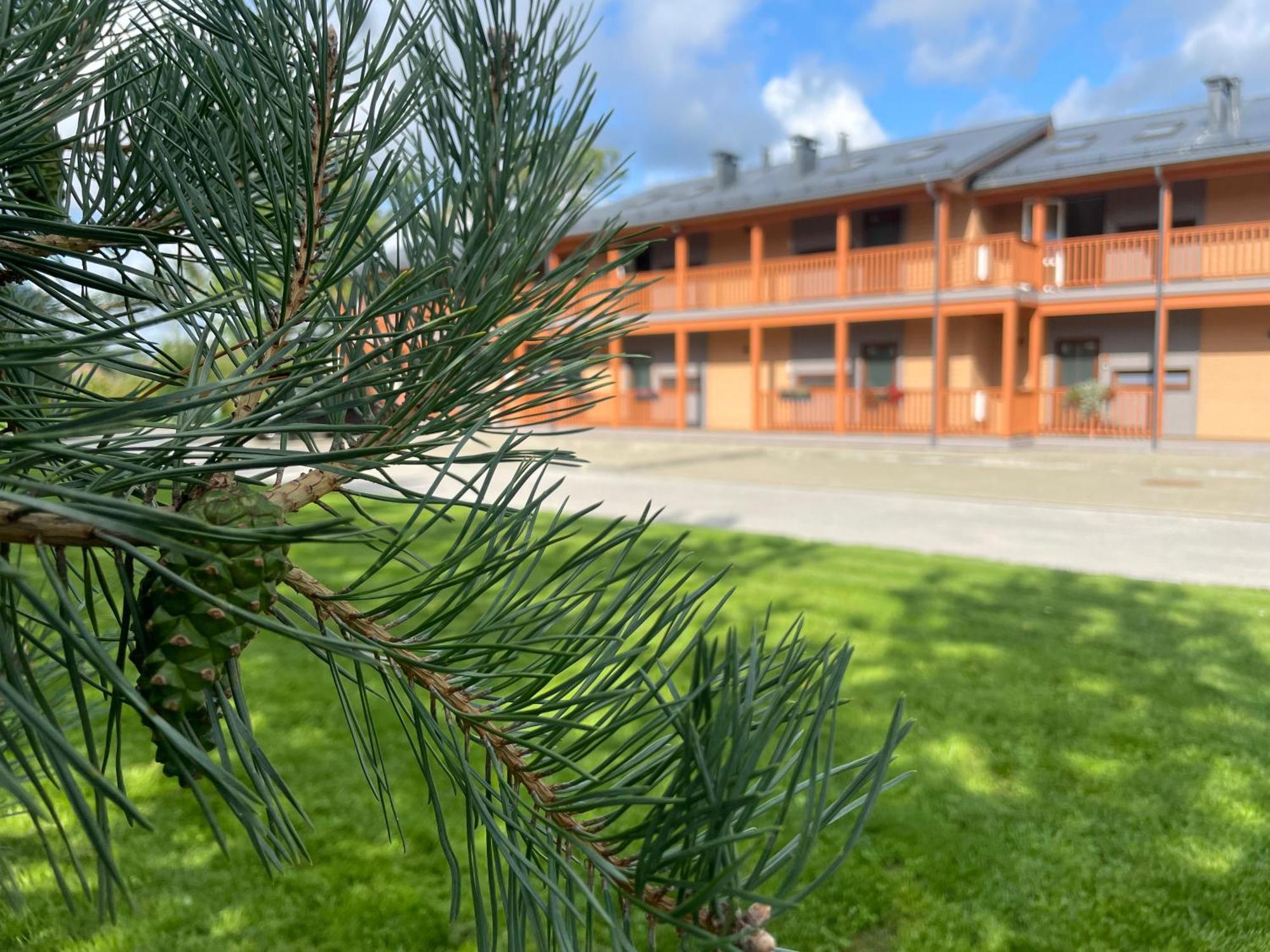 Bestes apartamenti Koceni Extérieur photo