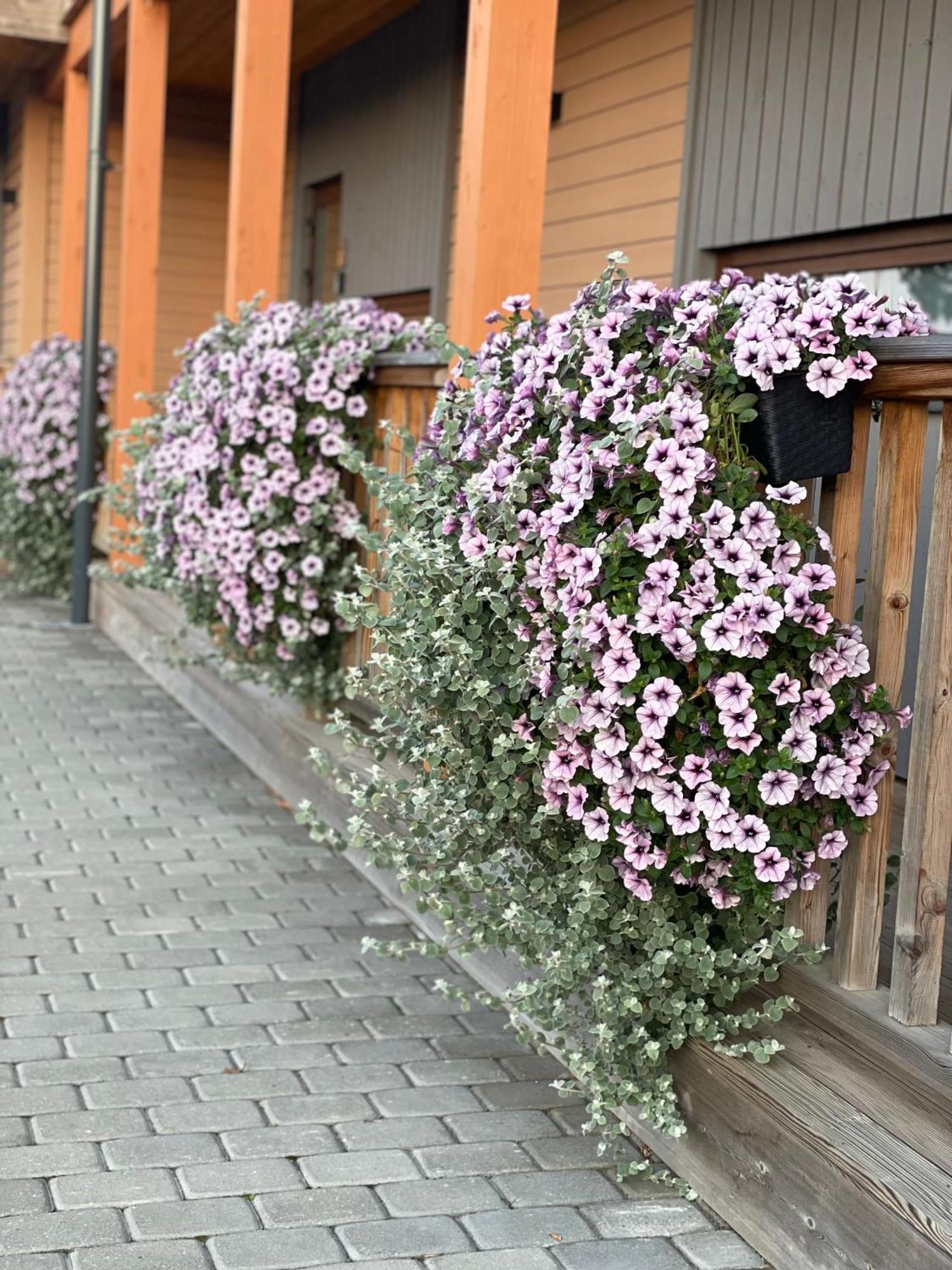 Bestes apartamenti Koceni Extérieur photo